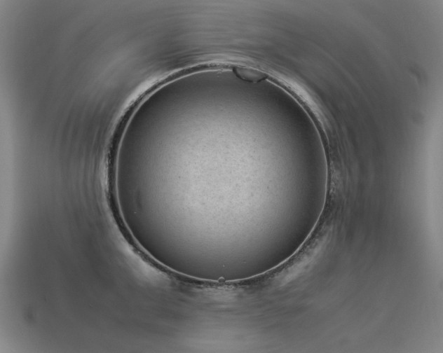 X0000113950999200909251335