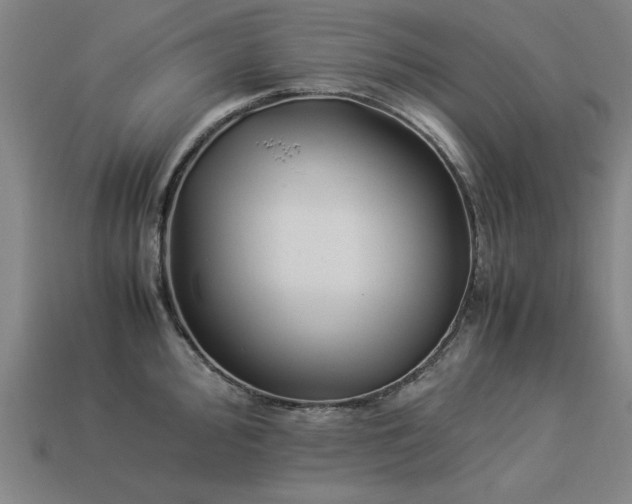 X0000113951000200909251335