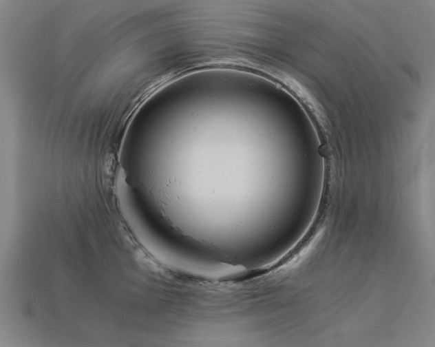 X0000113951001200909251335