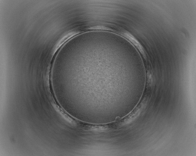 X0000113951002200909251335