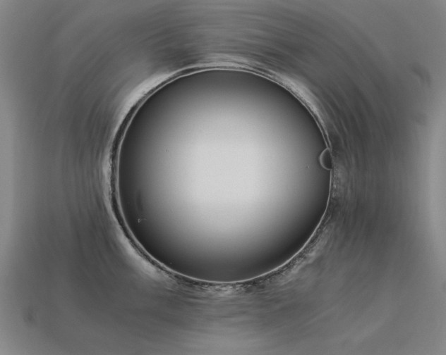 X0000113951003200909251335