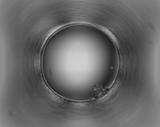 X0000113951004200909251335