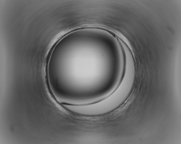 X0000113951005200909251335