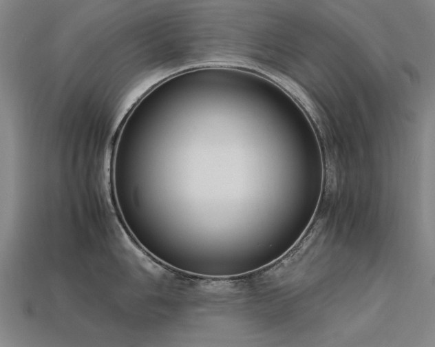 X0000113951006200909251335
