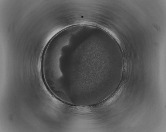 X0000113951007200909251335