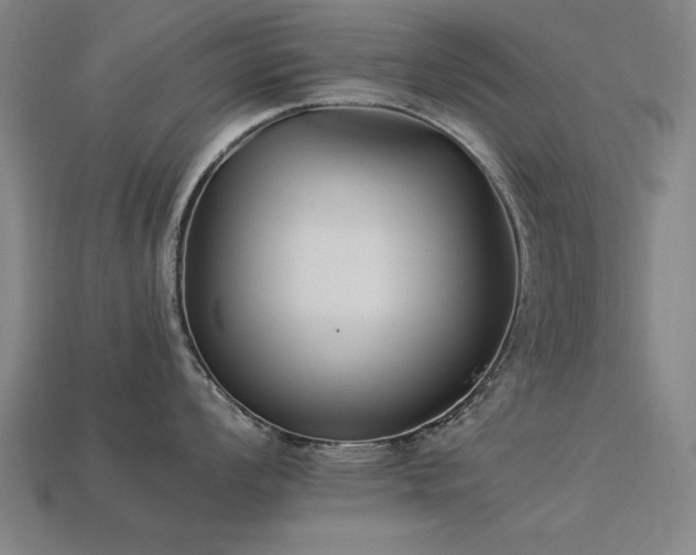 X0000113951008200909251335