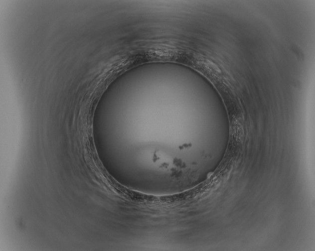 X0000113951009200909251334