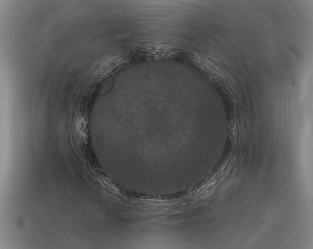 X0000113951010200909251334