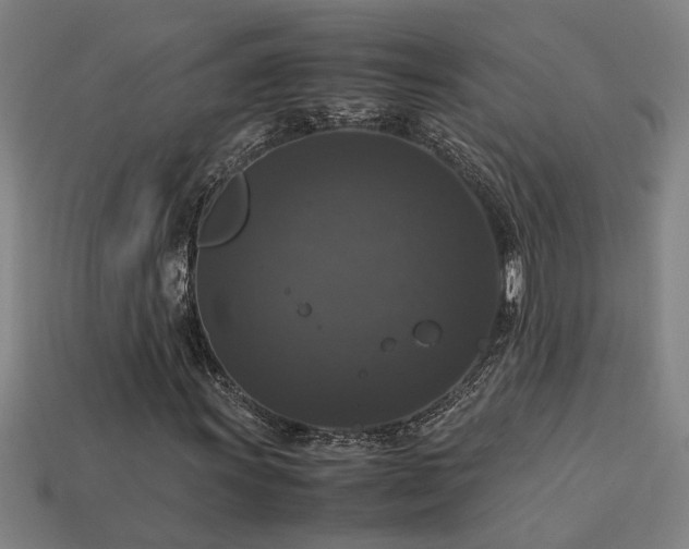 X0000113951011200909251334