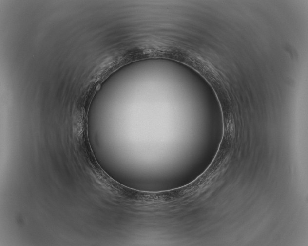 X0000113951012200909251334