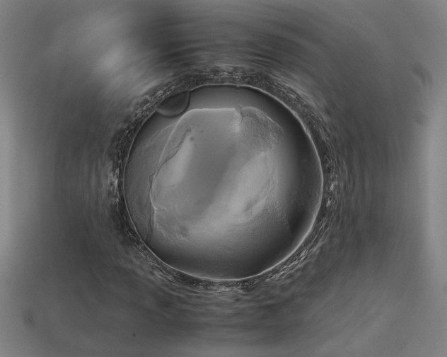 X0000113951013200909251334