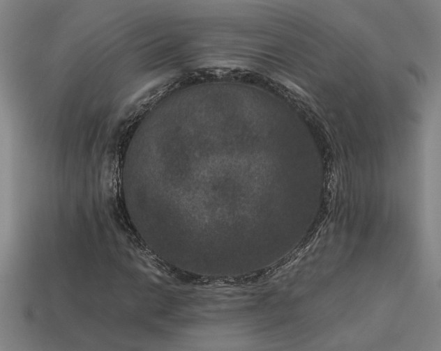 X0000113951014200909251334