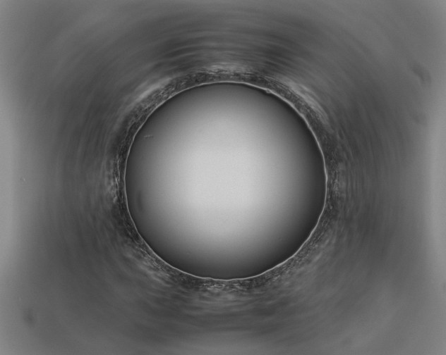 X0000113951015200909251334
