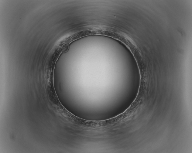 X0000113951016200909251334