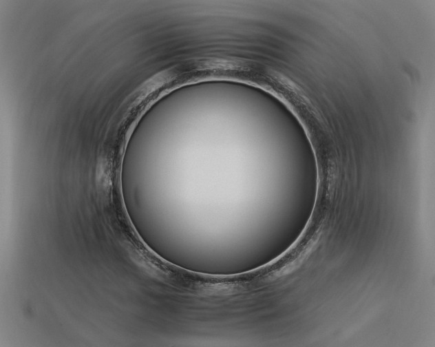 X0000113951017200909251334