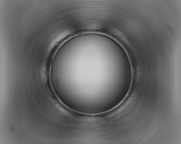 X0000113951018200909251334