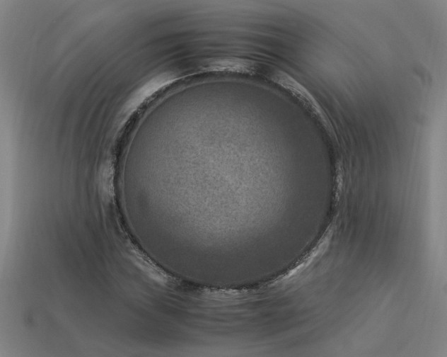 X0000113951019200909251334