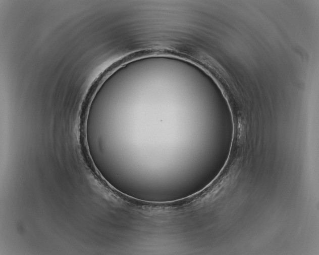 X0000113951020200909251334