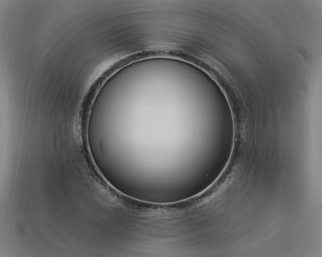 X0000113951022200909251334