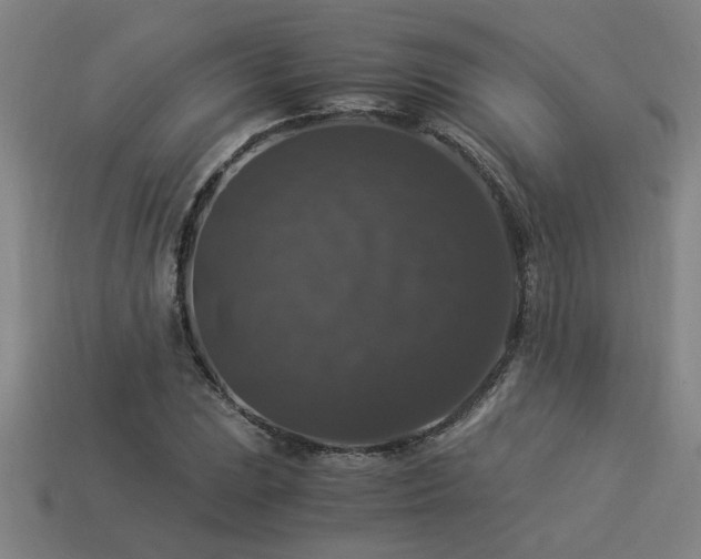 X0000113951023200909251334