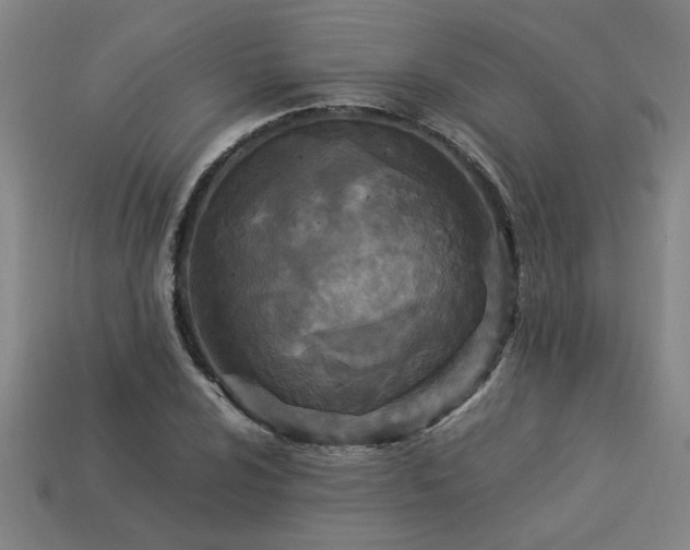 X0000113951024200909251334