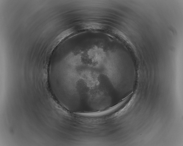X0000113951025200909251334