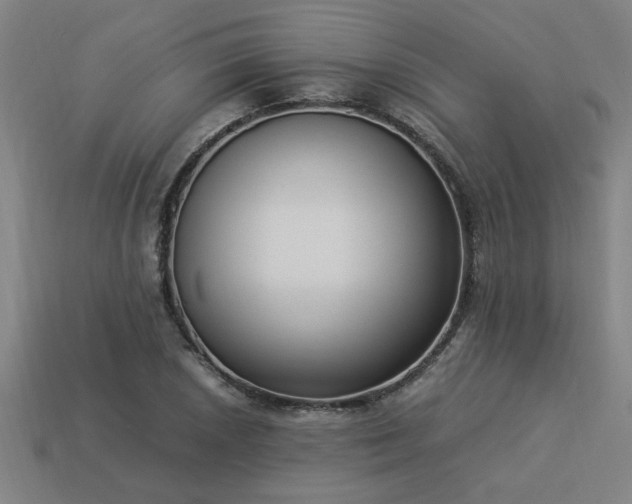 X0000113951026200909251334