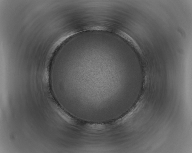 X0000113951027200909251334
