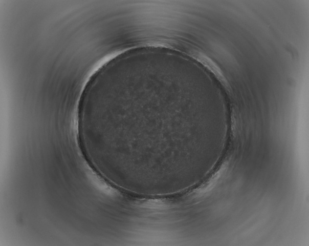 X0000113951028200909251334