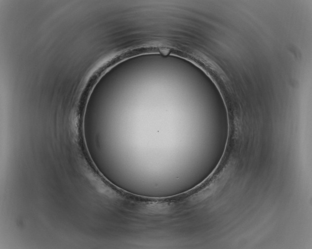 X0000113951029200909251334