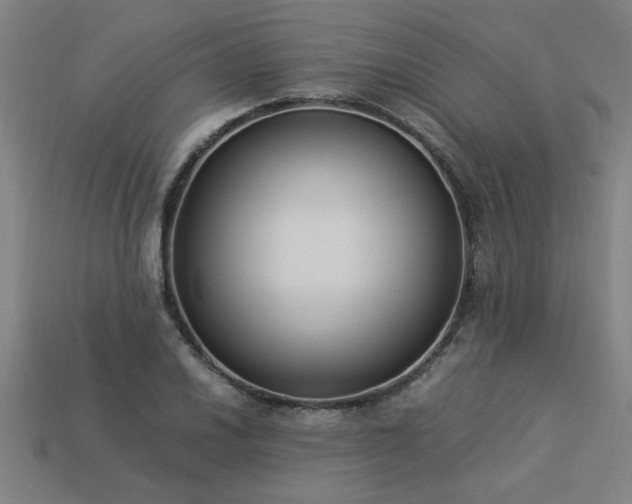 X0000113951030200909251334