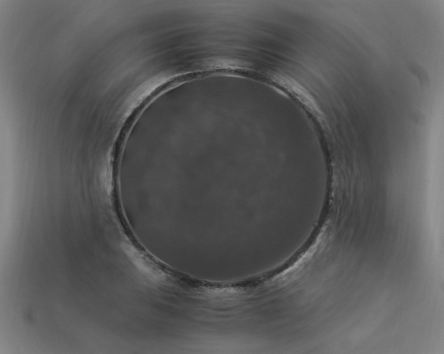 X0000113951031200909251334