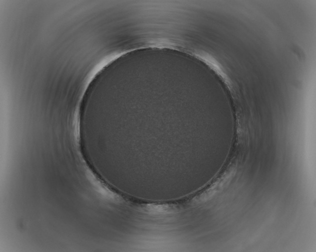 X0000113951032200909251334