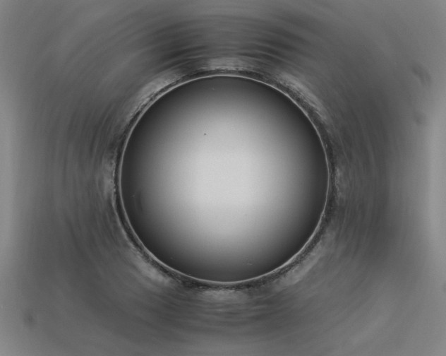 X0000113951033200909251334