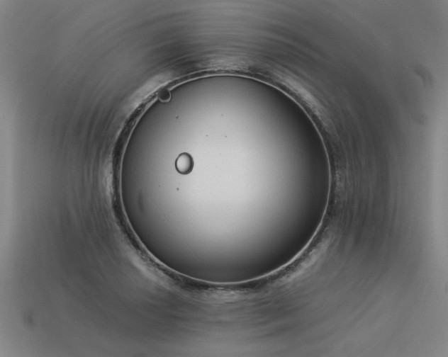 X0000113951034200909251334