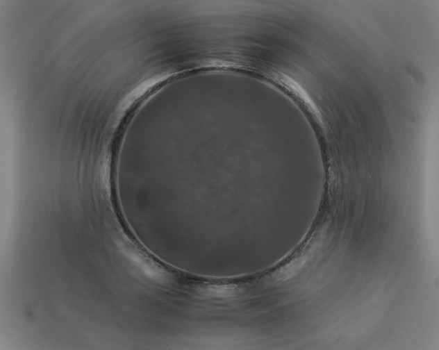 X0000113951035200909251334