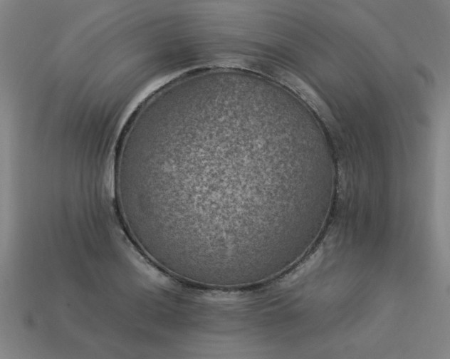 X0000113951036200909251334