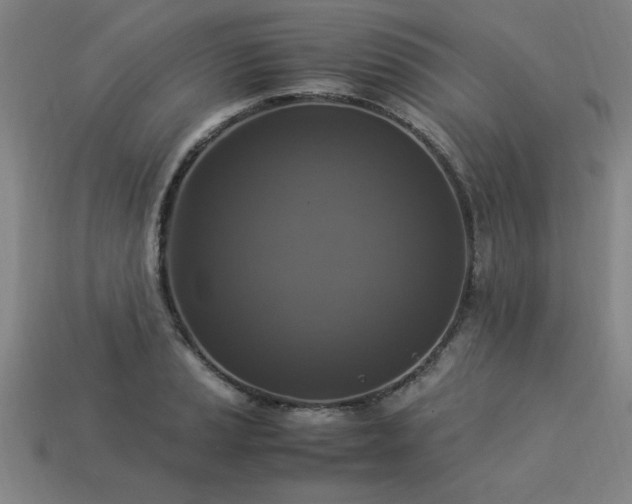 X0000113951037200909251334