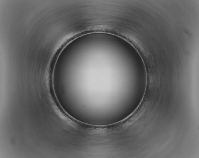 X0000113951038200909251334