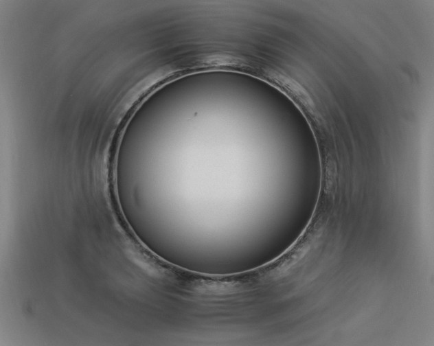 X0000113951039200909251334