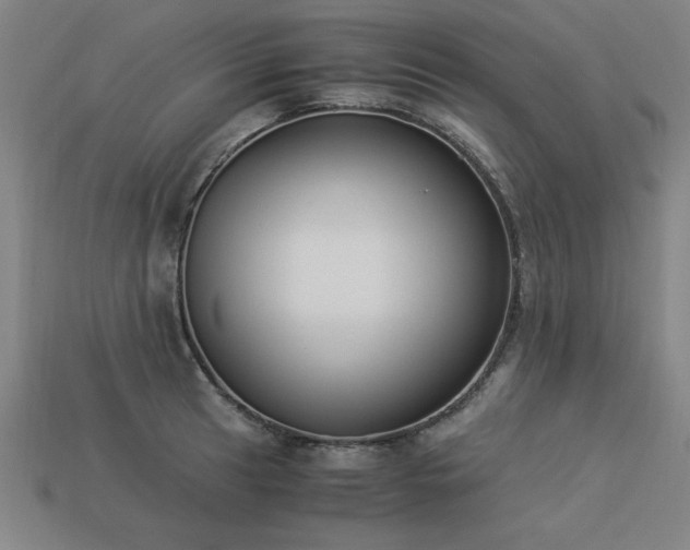 X0000113951041200909251334