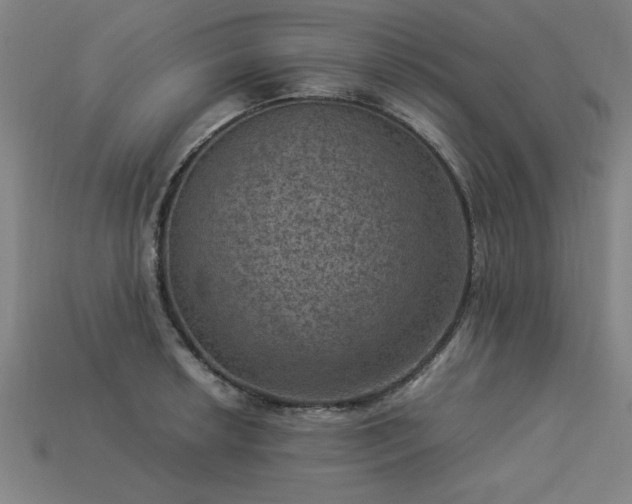 X0000113951042200909251334