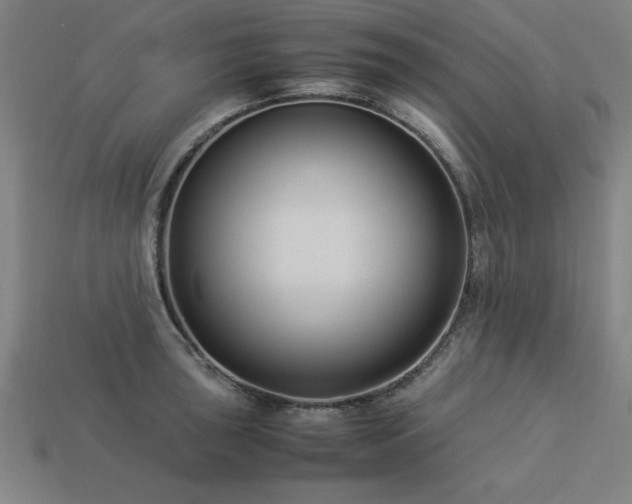 X0000113951043200909251334