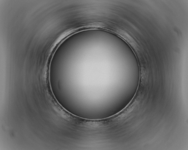 X0000113951044200909251334