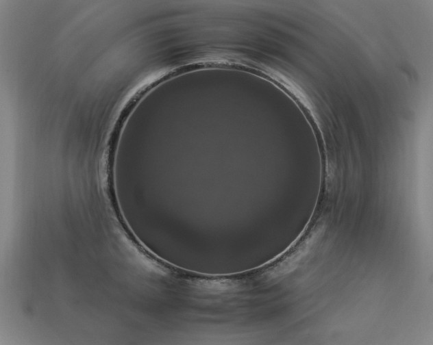 X0000113951045200909251334