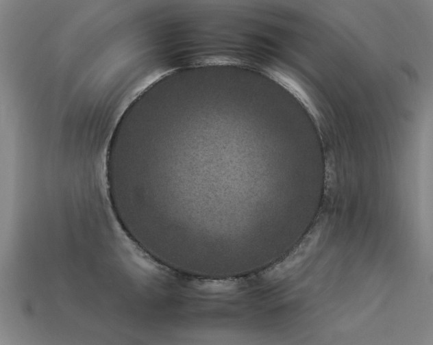 X0000113951047200909251334