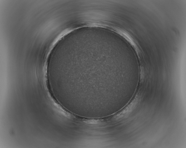 X0000113951048200909251334