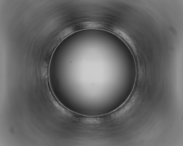 X0000113951049200909251334