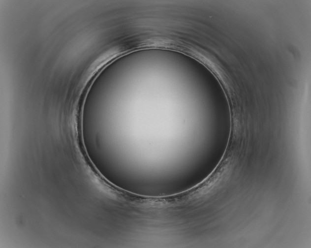 X0000113951050200909251335