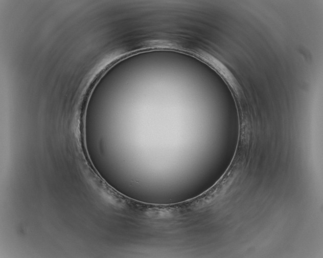 X0000113951051200909251335